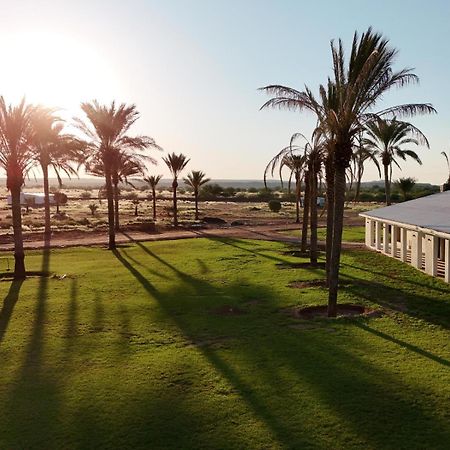 Flying Ostrich Guesthouse & Self-Catering Accommodation Mariental Dış mekan fotoğraf