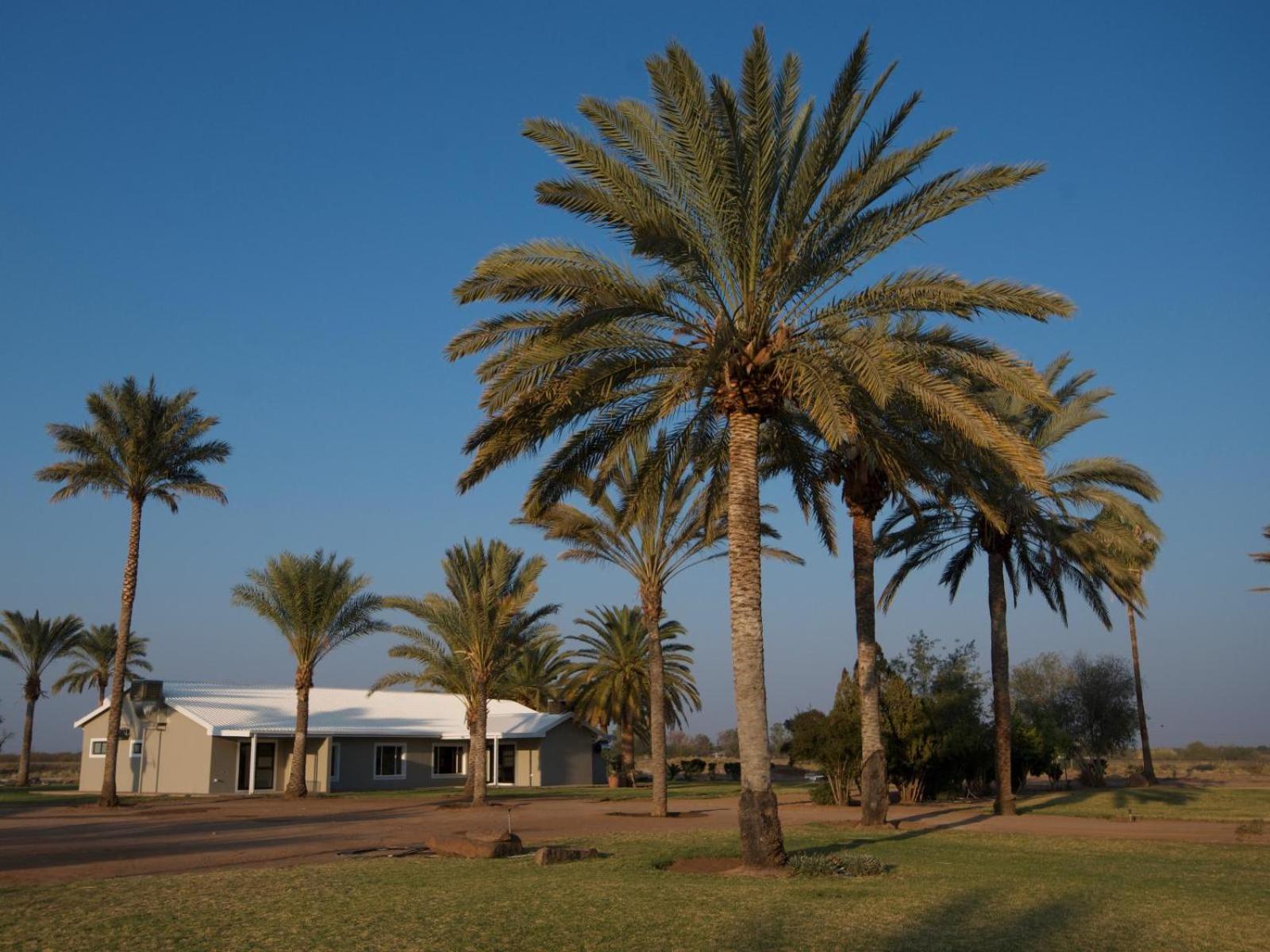 Flying Ostrich Guesthouse & Self-Catering Accommodation Mariental Dış mekan fotoğraf