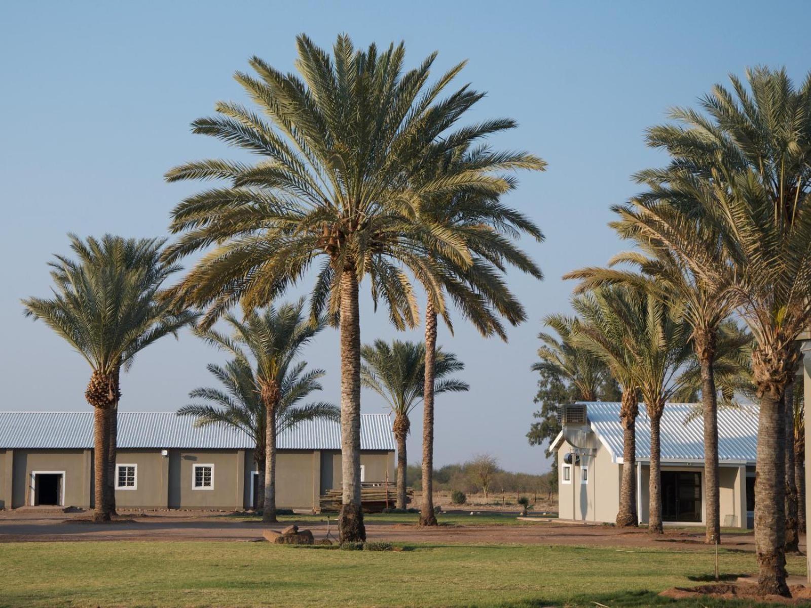 Flying Ostrich Guesthouse & Self-Catering Accommodation Mariental Dış mekan fotoğraf